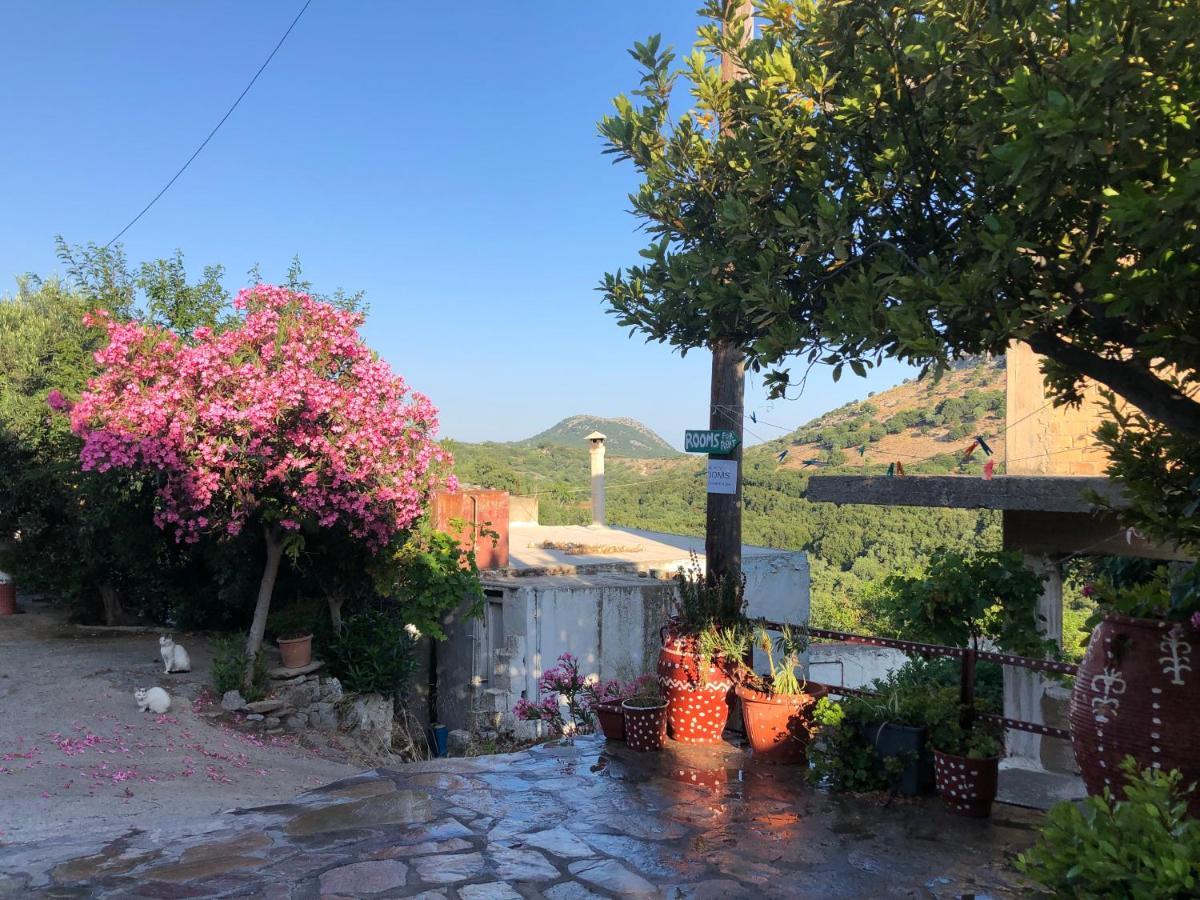 Yard Daire Astirákion Dış mekan fotoğraf